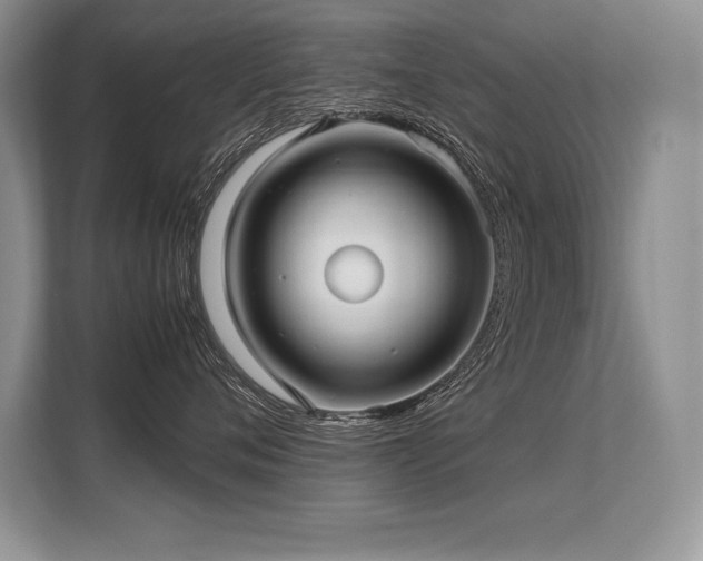 X0000113310720200909211142