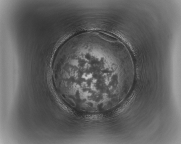 X0000113310721200909211141