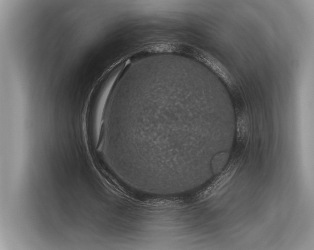 X0000113310722200909211141