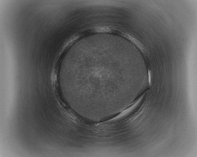 X0000113310723200909211141