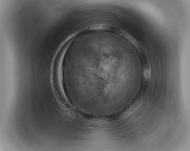 X0000113310724200909211141