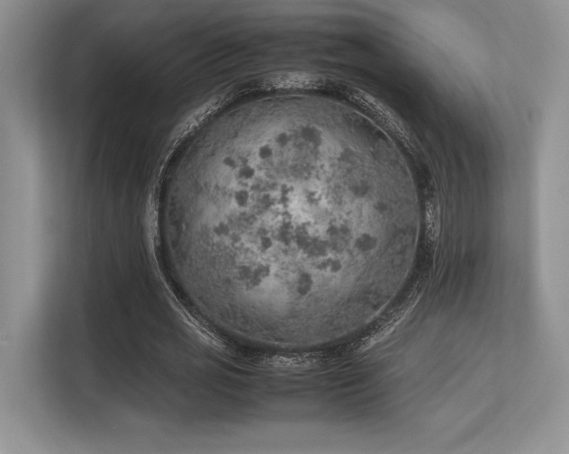 X0000113310725200909211141