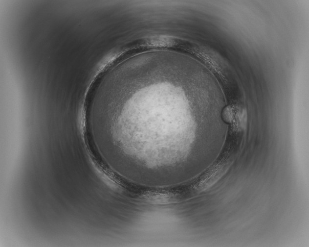 X0000113310726200909211141