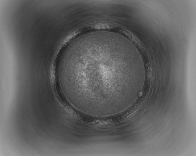 X0000113310727200909211141