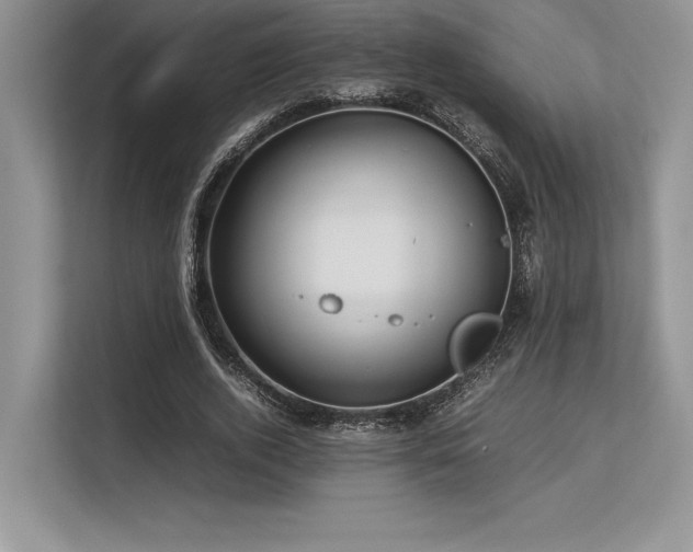 X0000113310728200909211141