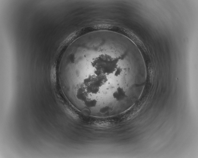 X0000113310729200909211141