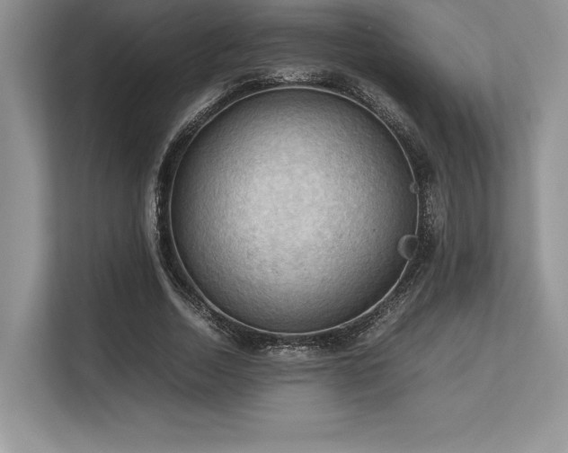 X0000113310730200909211141