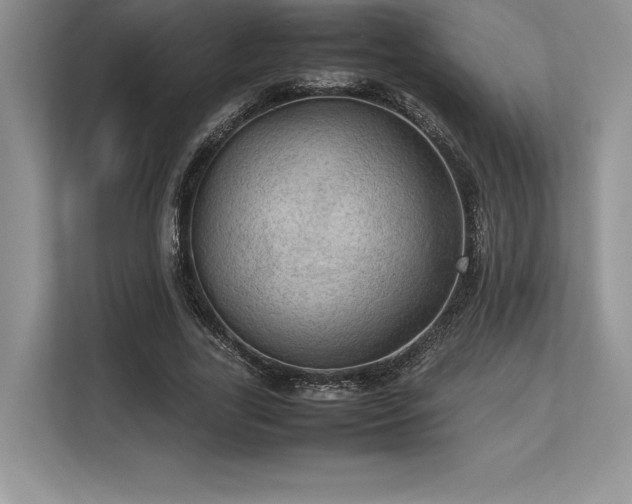 X0000113310731200909211141