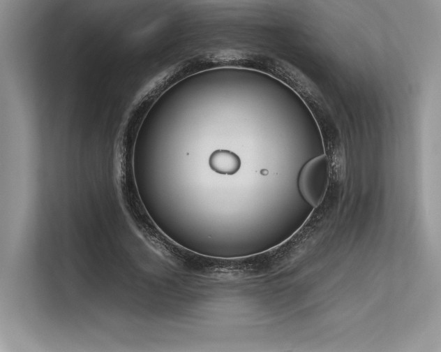 X0000113310732200909211141