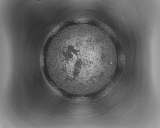 X0000113310734200909211141