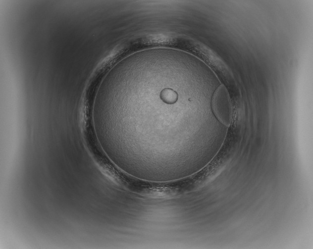 X0000113310736200909211141