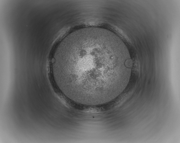 X0000113310738200909211141