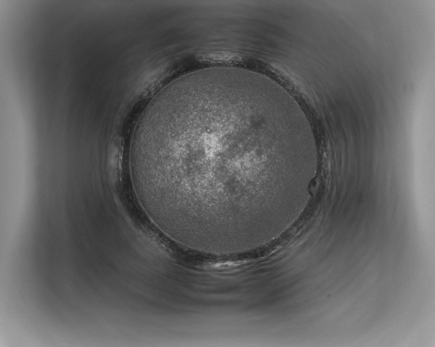 X0000113310739200909211141