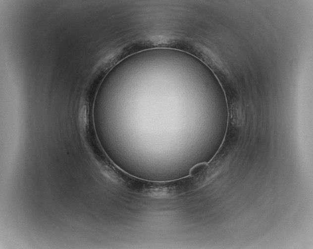 X0000113310740200909211141