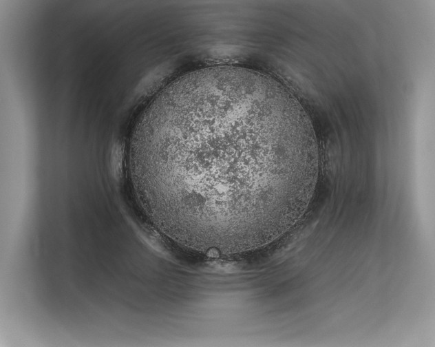 X0000113310742200909211141