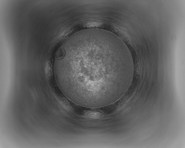 X0000113310743200909211142