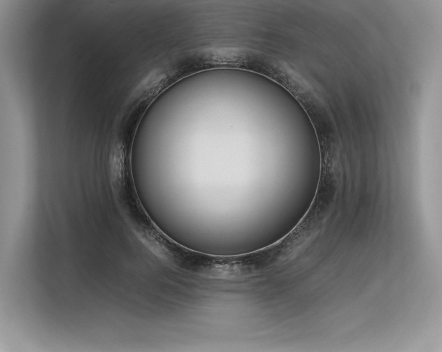 X0000113310744200909211142