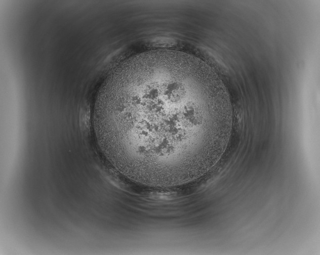 X0000113310745200909211142