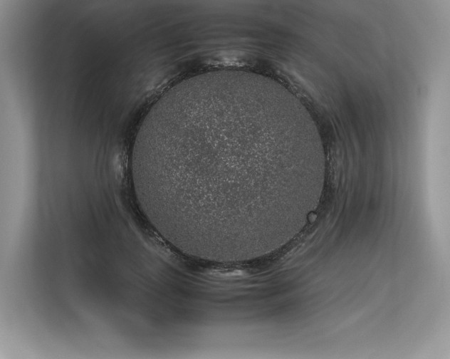 X0000113310747200909211142