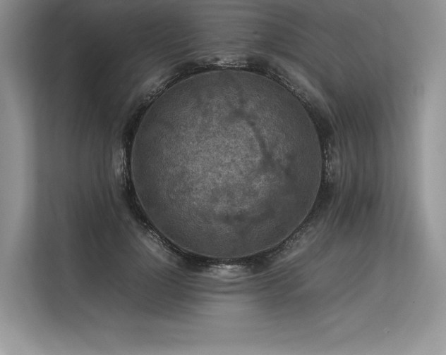 X0000113310748200909211142