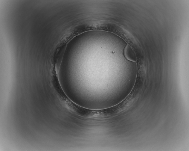 X0000113310750200909211142