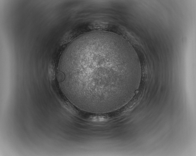 X0000113310751200909211142