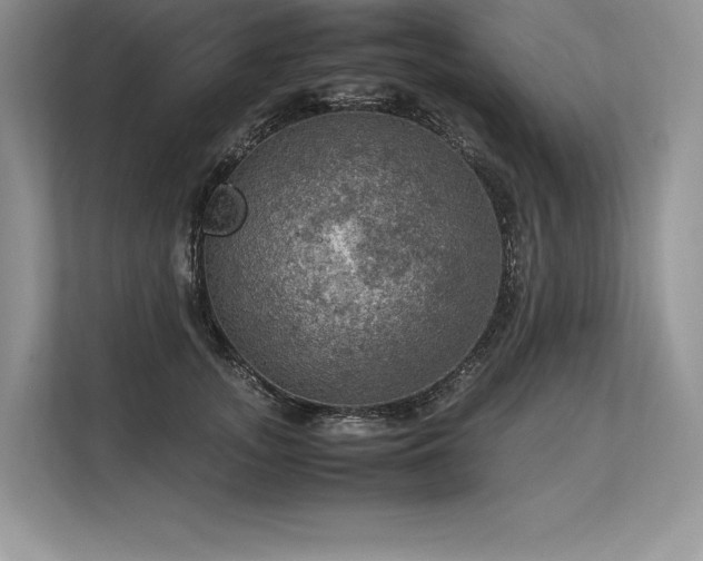 X0000113310755200909211142