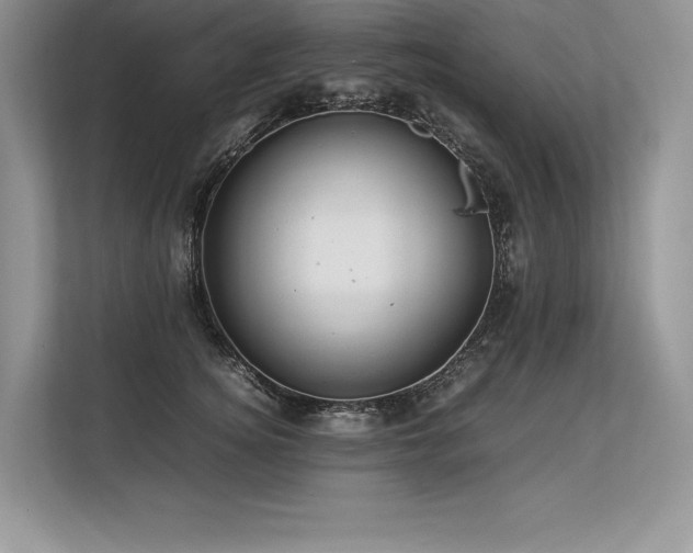 X0000113310756200909211142