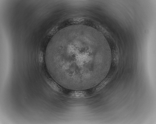 X0000113310758200909211142