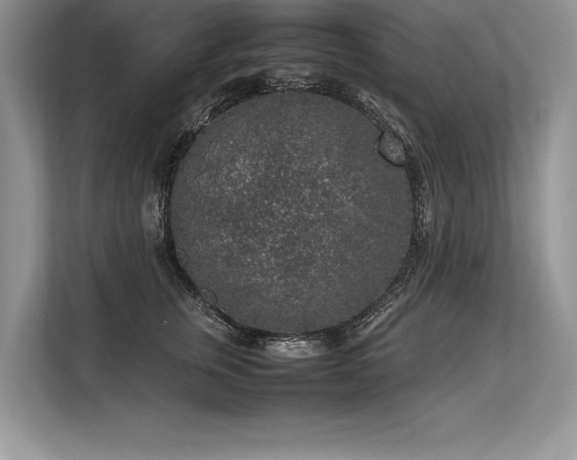 X0000113310759200909211142