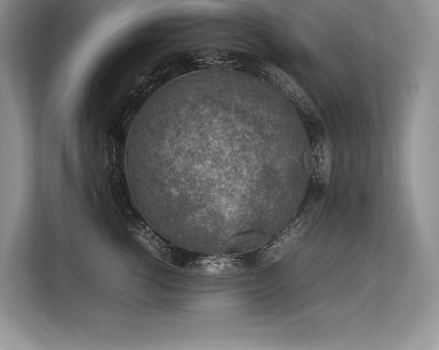 X0000113310762200909211142