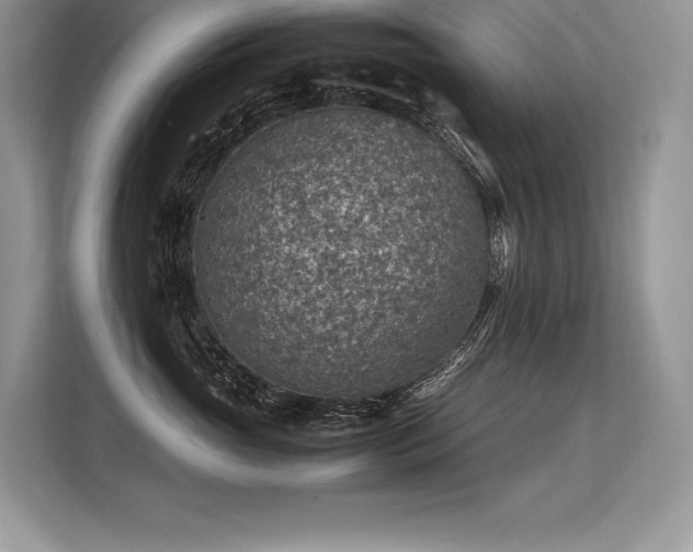 X0000113310765200909211142