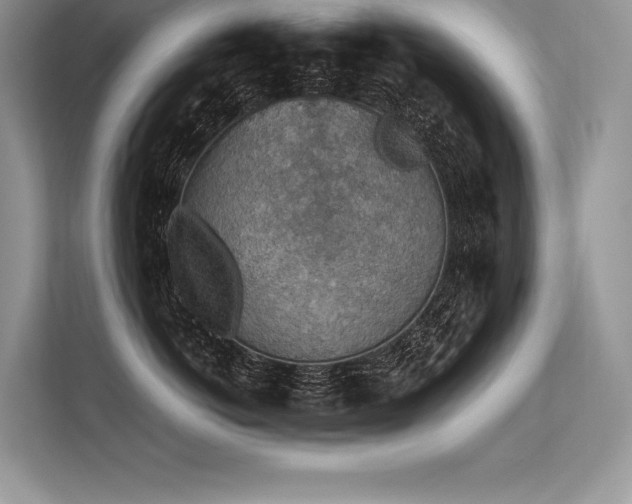 X0000113310766200909211142