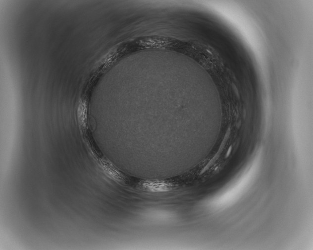 X0000113310767200909211142