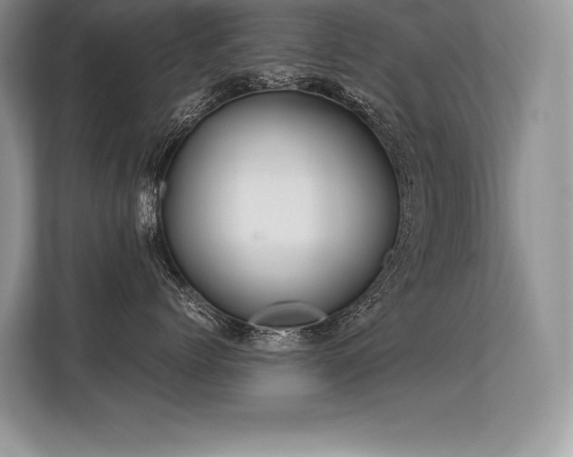 X0000113310768200909211142