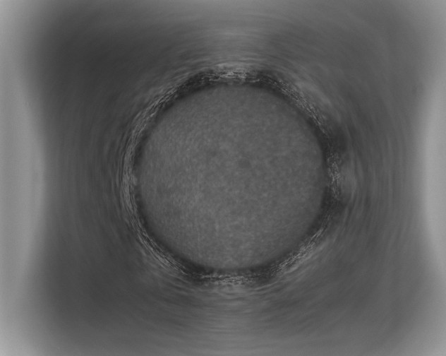 X0000113310769200909211141