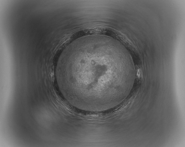 X0000113310771200909211141