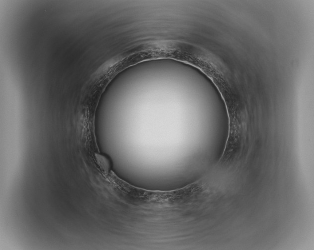 X0000113310773200909211141