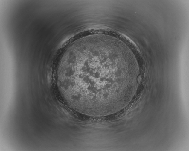 X0000113310775200909211141