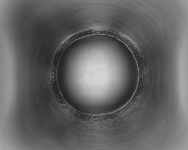 X0000113310776200909211141