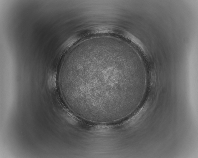 X0000113310777200909211141