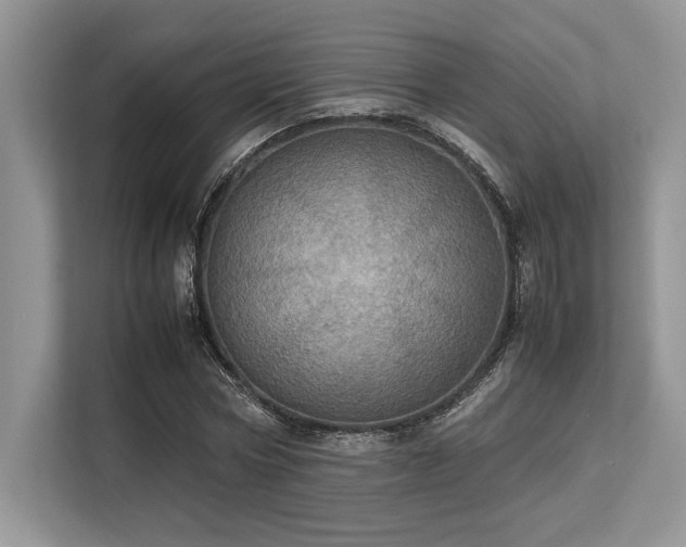 X0000113310778200909211141