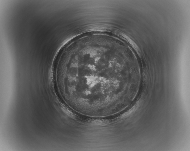 X0000113310779200909211141