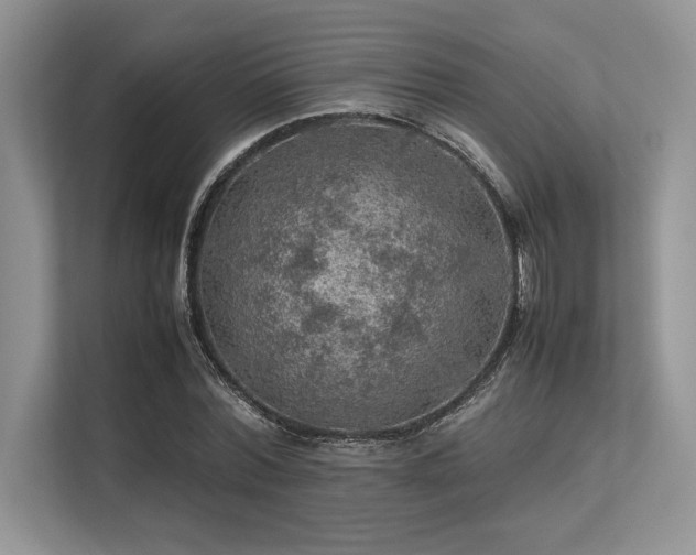 X0000113310780200909211141