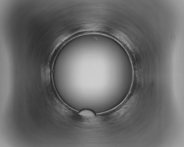 X0000113310781200909211141