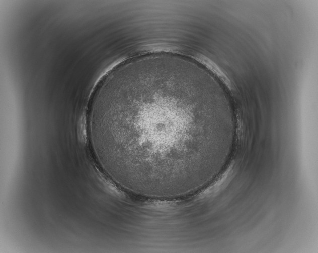 X0000113310782200909211141