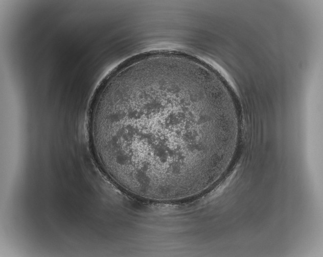 X0000113310783200909211141