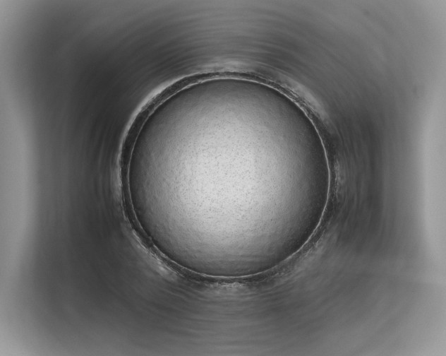 X0000113310784200909211141