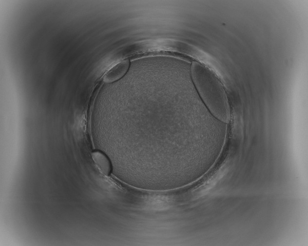 X0000113310785200909211141