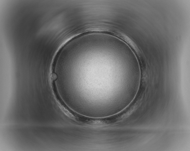 X0000113310787200909211141